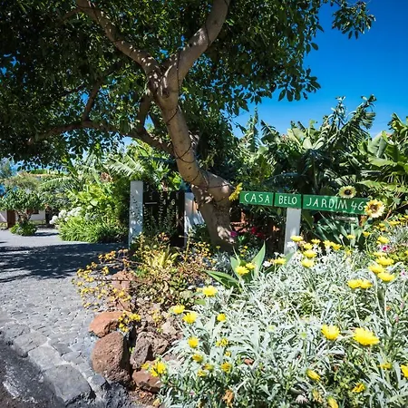 Casa Belojardim E Antiga Fabrica De Manteiga Villa Arco da Calheta  Exterior photo